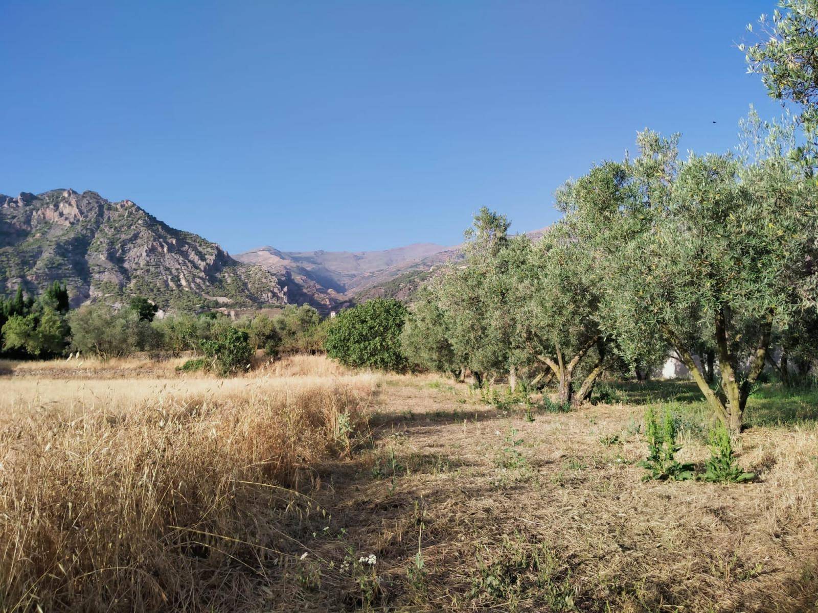 Plot for sale with amazing mountain views, and a step away from the village