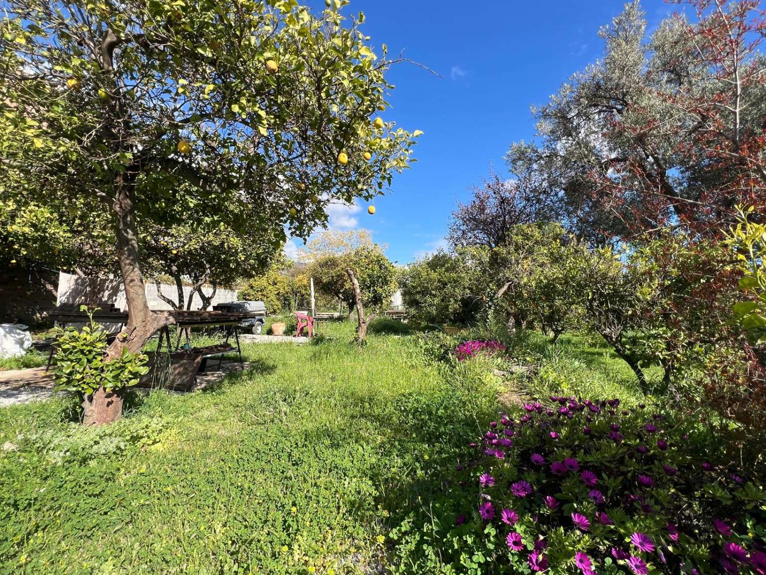 Magnífica casa con encanto en venta en el Valle Lecrín