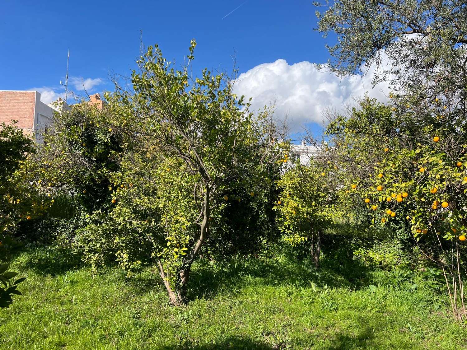 Magnífica casa con encanto en venta en el Valle Lecrín