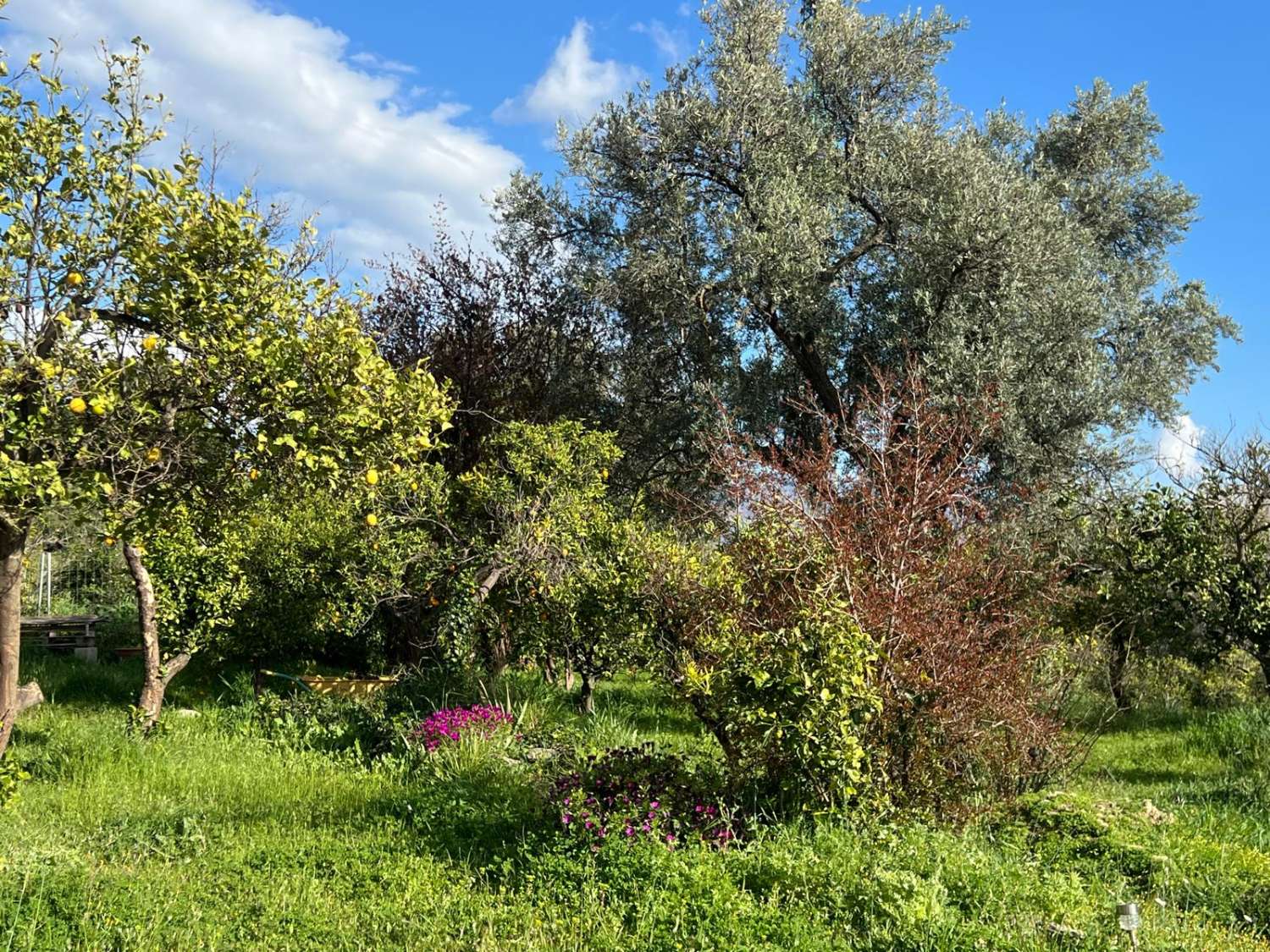 Magnífica casa con encanto en venta en el Valle Lecrín