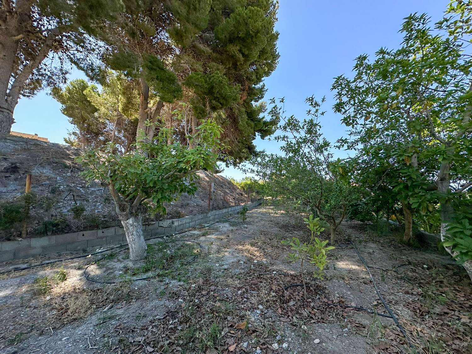Espectacular casa de campo con increibles vistas en Las Zorreras, Motril