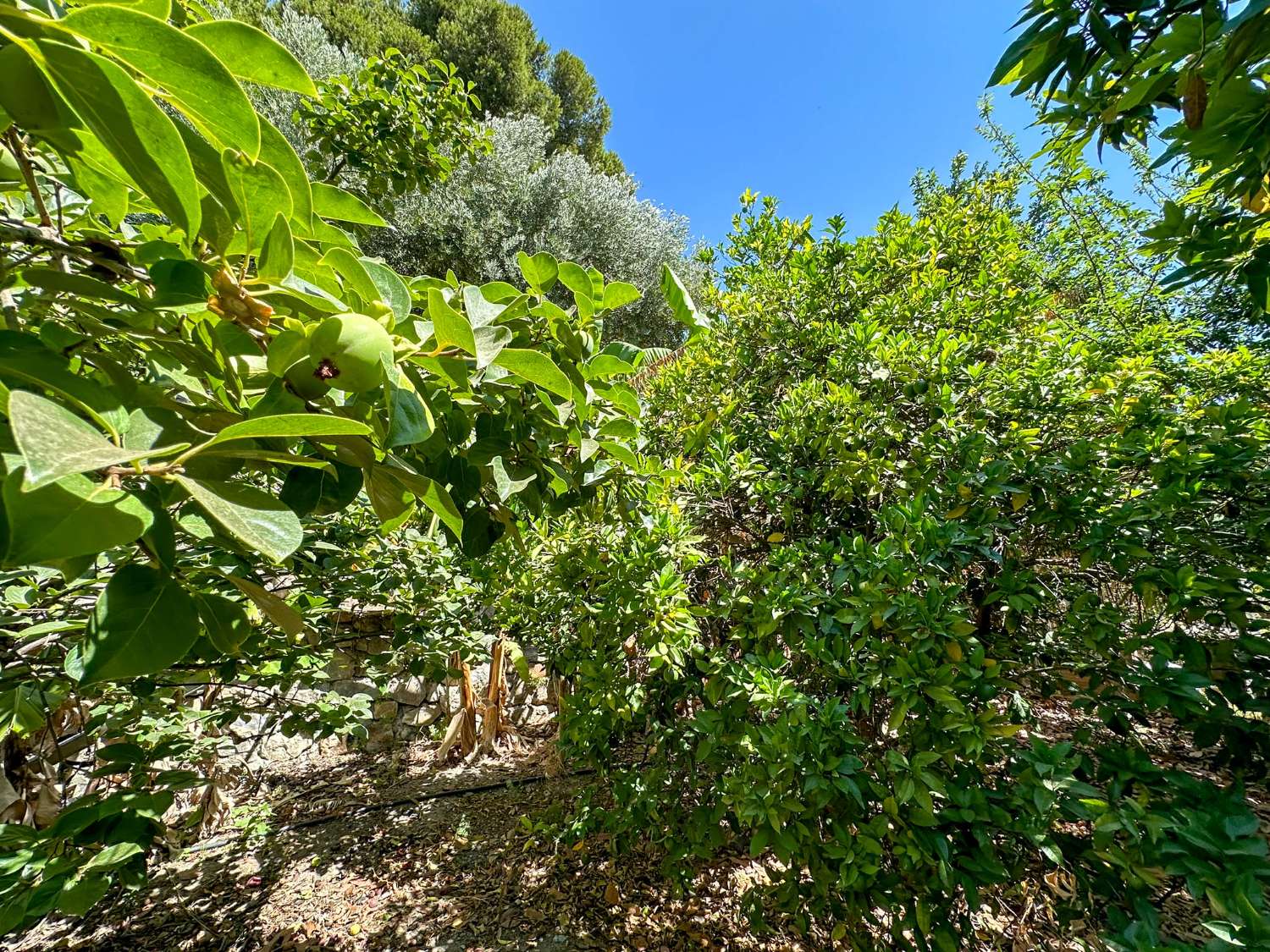 Espectacular casa de campo con increibles vistas en Las Zorreras, Motril