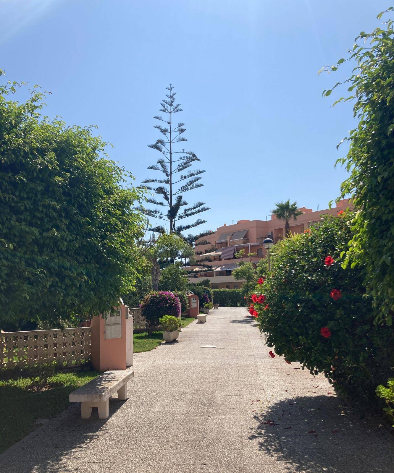 Appartment zur miete in Salobreña