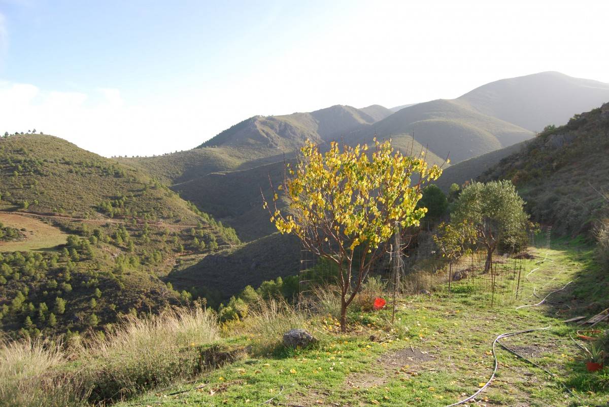 Cortijo en Orgiva, con vistas a Sierra Nevada