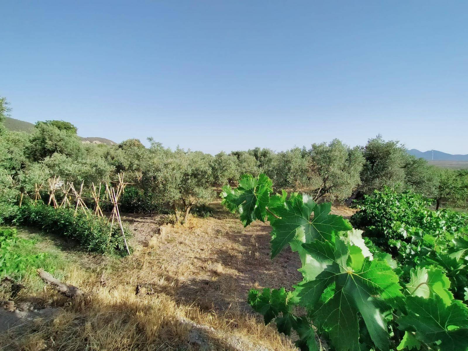 Bonita parcela en venta, en el pintoresco pueblo de Nigüelas, con preciosas vistas a la montaña y muy cercana al pueblo