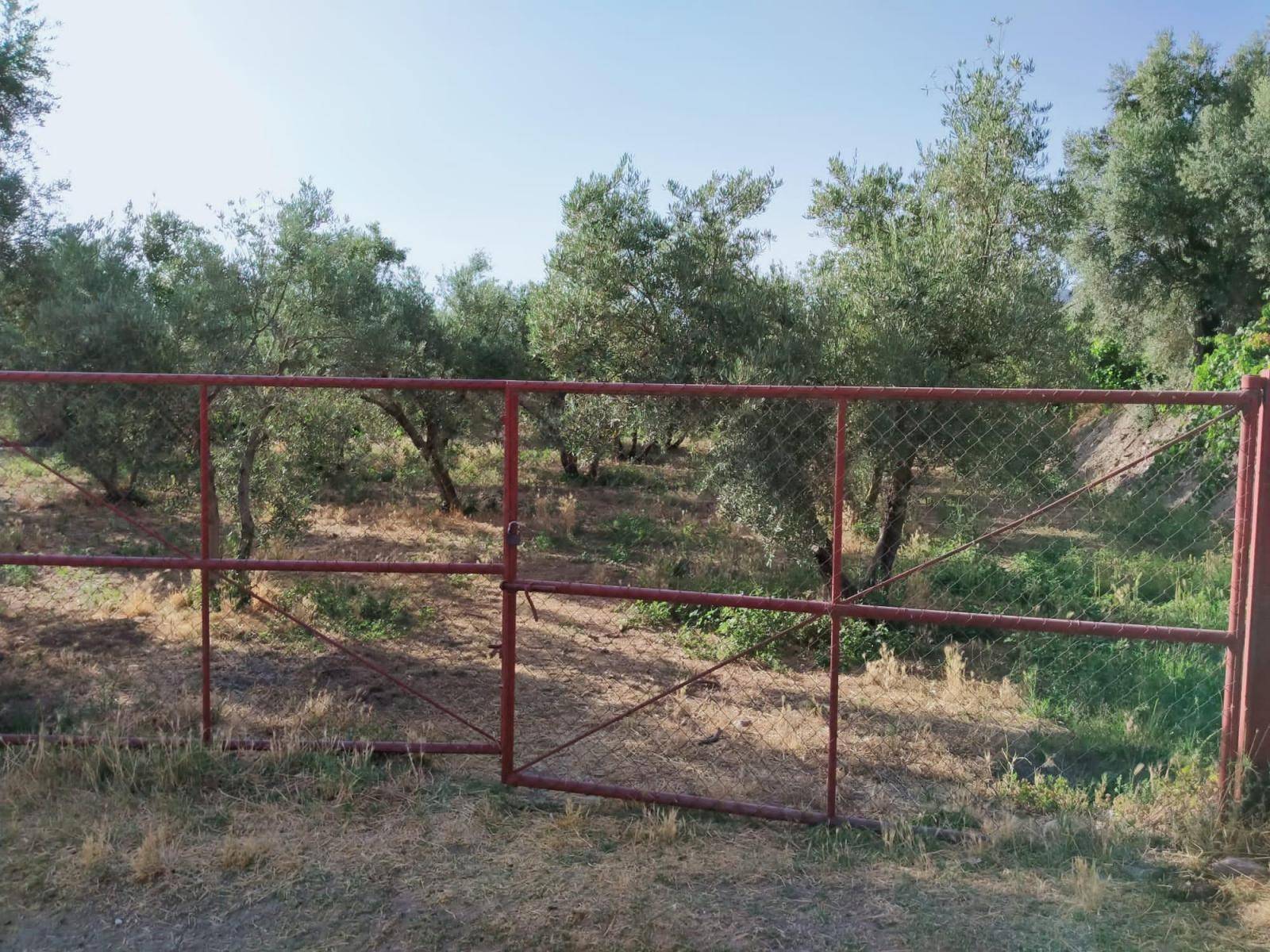 Bonita parcela en venta, en el pintoresco pueblo de Nigüelas, con preciosas vistas a la montaña y muy cercana al pueblo