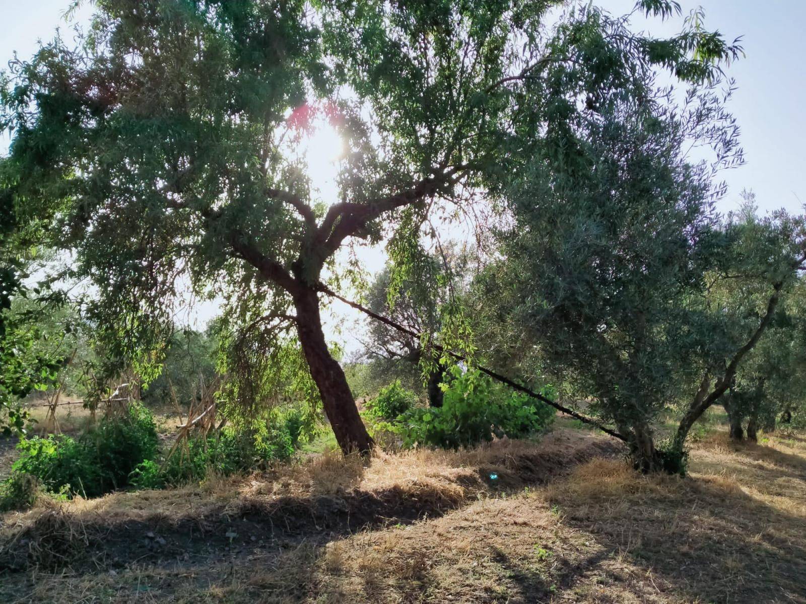 Bonita parcela en venta, en el pintoresco pueblo de Nigüelas, con preciosas vistas a la montaña y muy cercana al pueblo