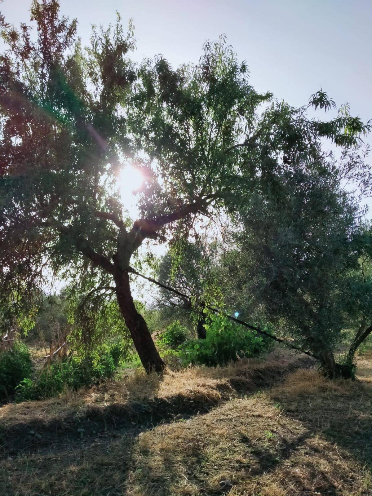 Bonita parcela en venta, en el pintoresco pueblo de Nigüelas, con preciosas vistas a la montaña y muy cercana al pueblo