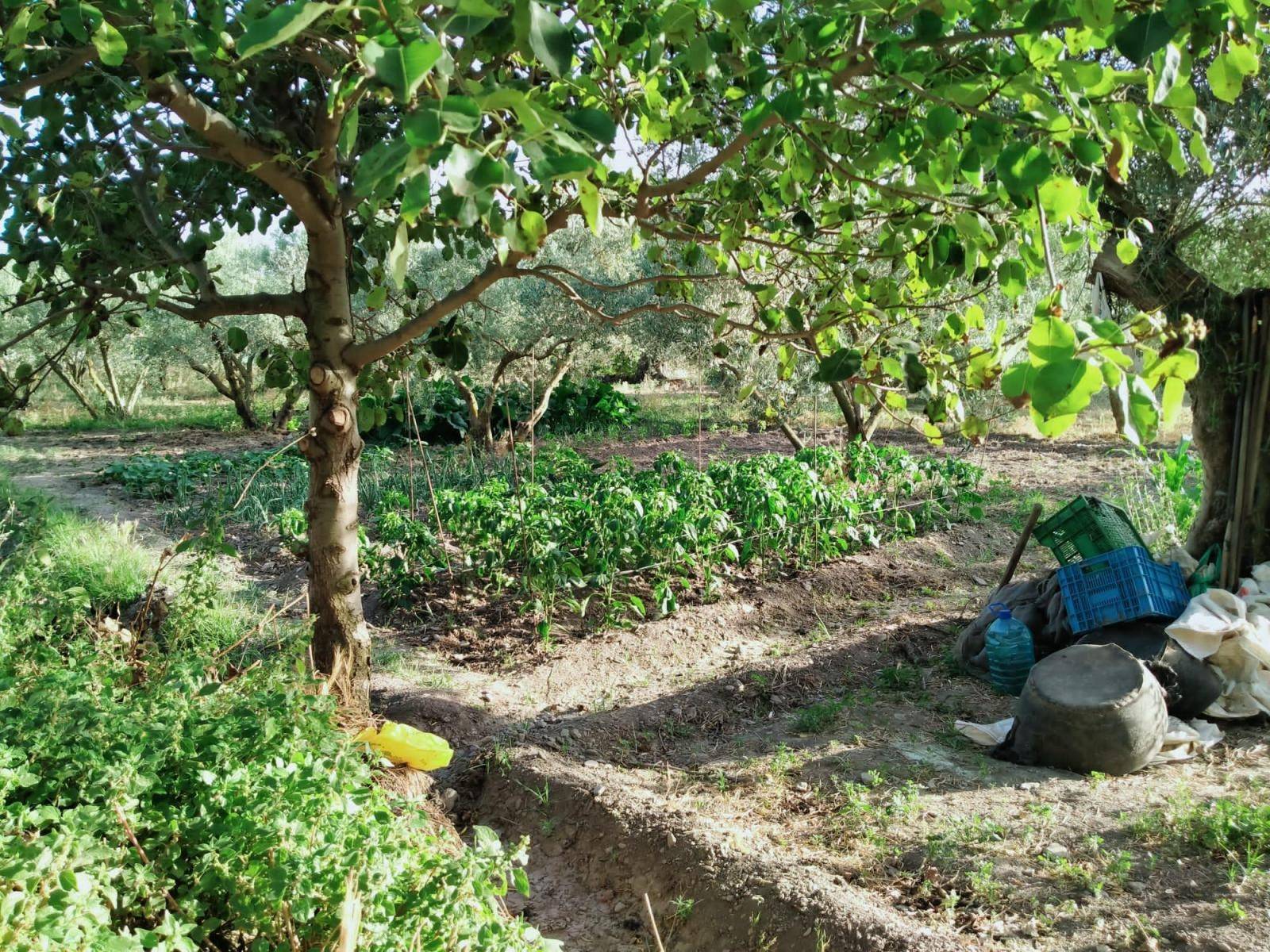 Plot v prodeji in Nigüelas