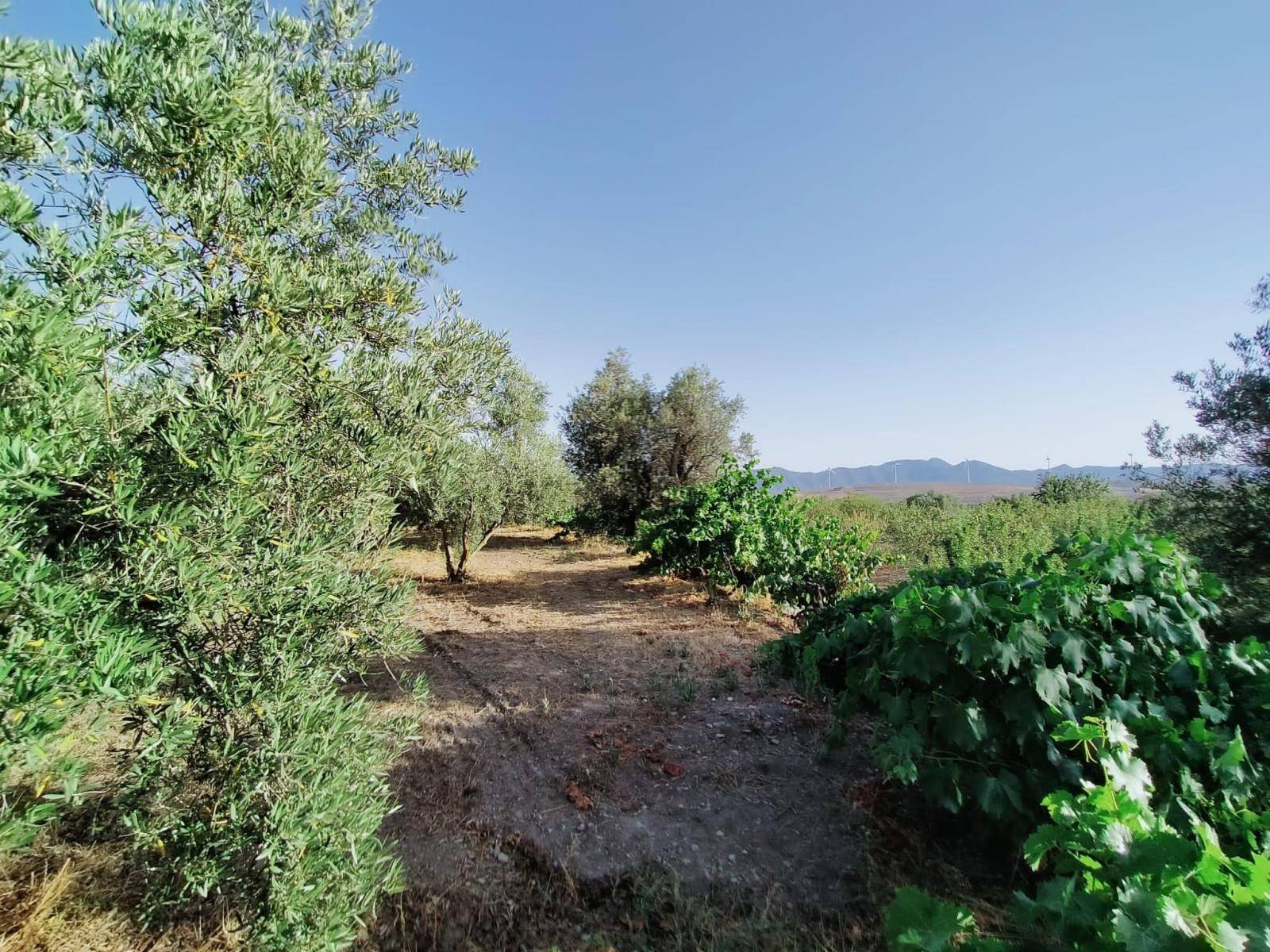 Bonita parcela en venta, en el pintoresco pueblo de Nigüelas, con preciosas vistas a la montaña y muy cercana al pueblo