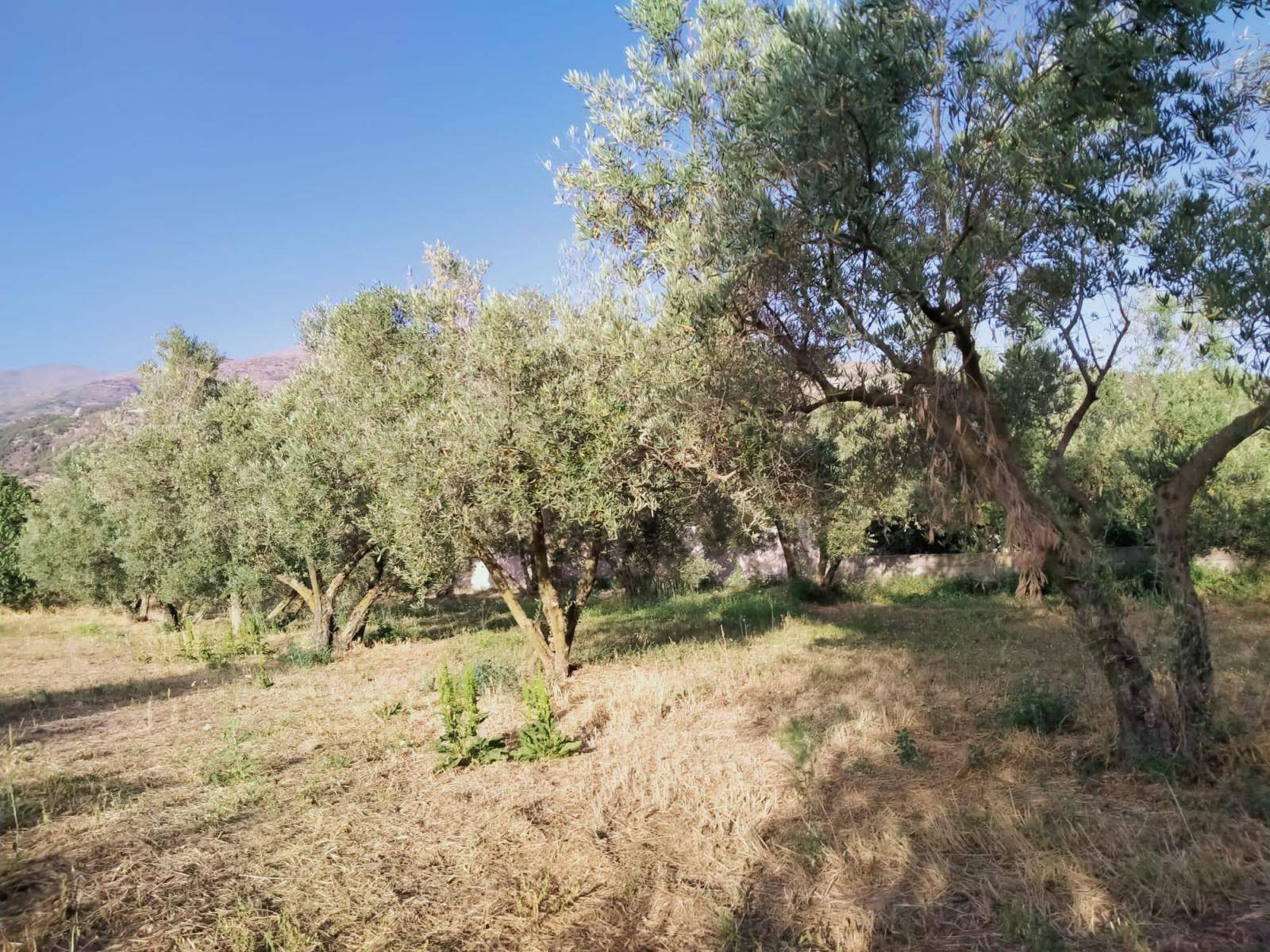 Grundstück zum Verkauf mit herrlichem Bergblick und nur einen Schritt vom Dorf entfernt