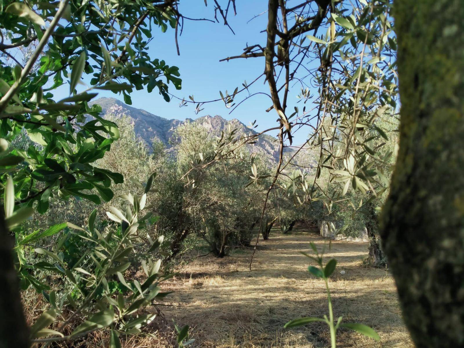 Grundstück zum Verkauf mit herrlichem Bergblick und nur einen Schritt vom Dorf entfernt