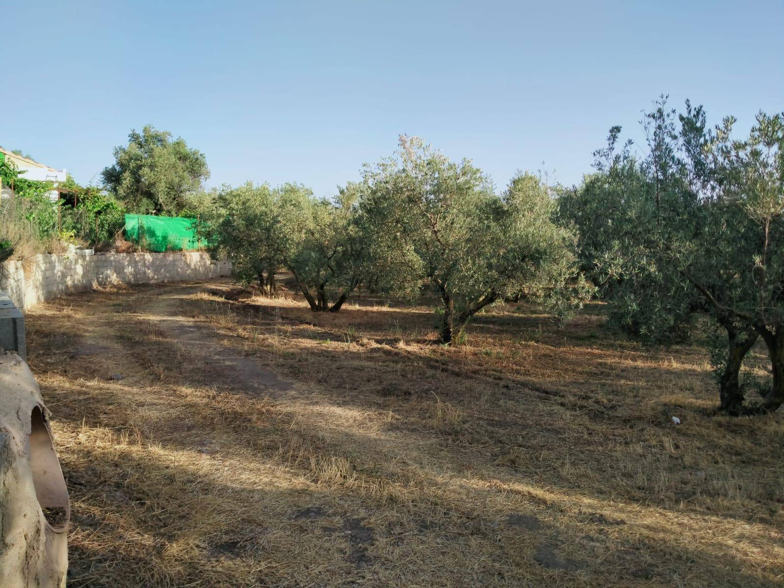 Grundstück zum Verkauf mit herrlichem Bergblick und nur einen Schritt vom Dorf entfernt