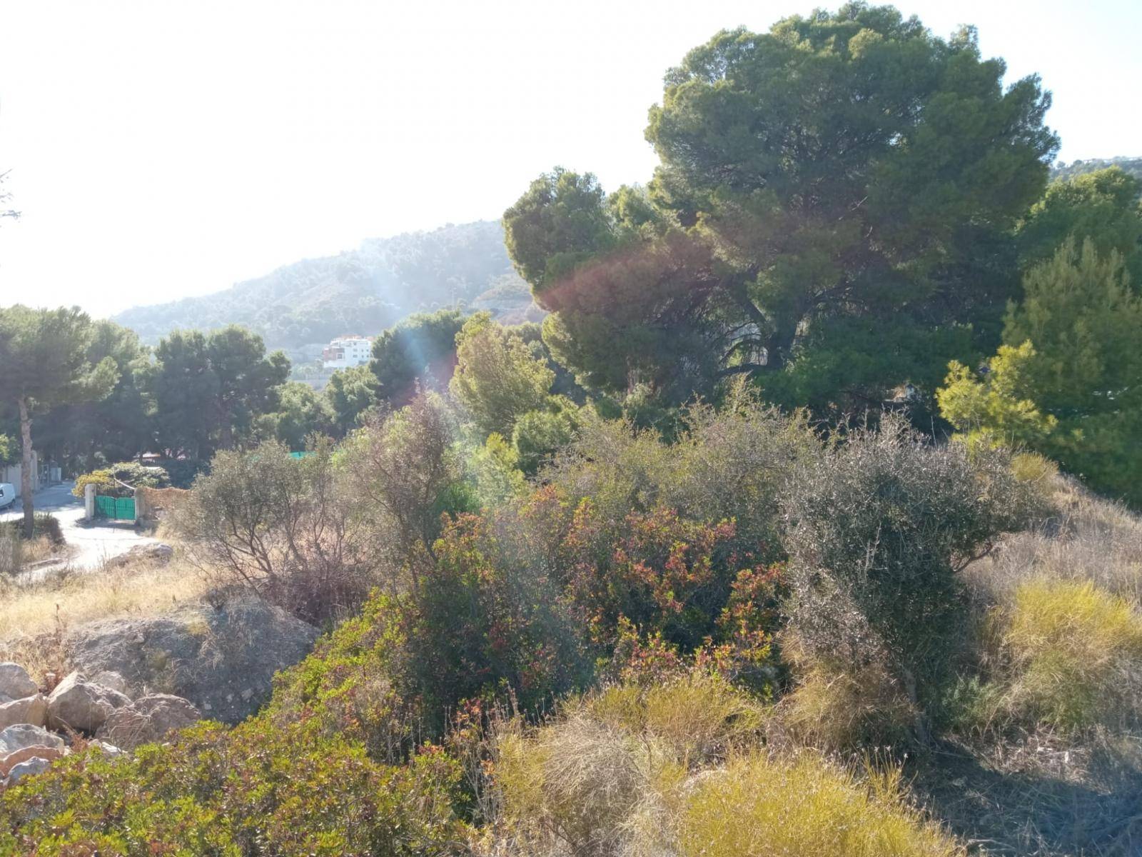 Parcela situada en el privilegiado entorno de La Herradura, bien comunicada con la Carretera Nacional 340 y con vistas al mar.