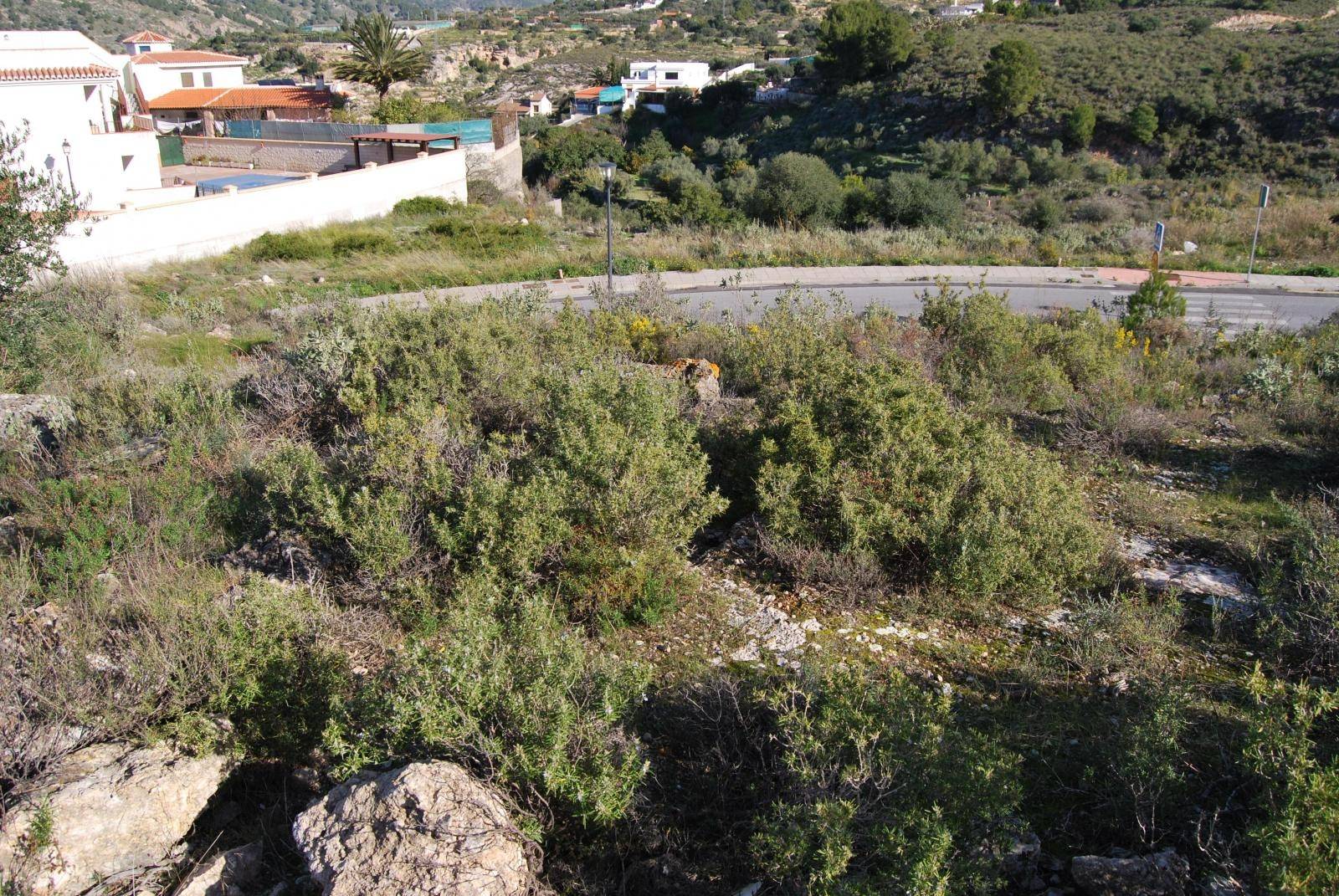 Parzelle zum verkauf in Vélez de Benaudalla