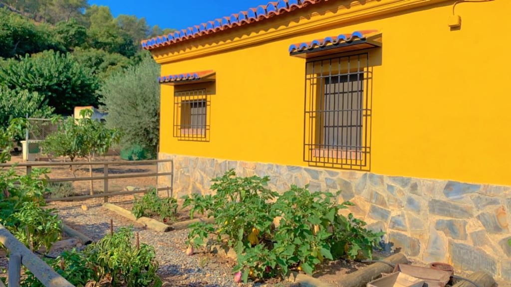 Hus till salu i Torrenueva (Motril)