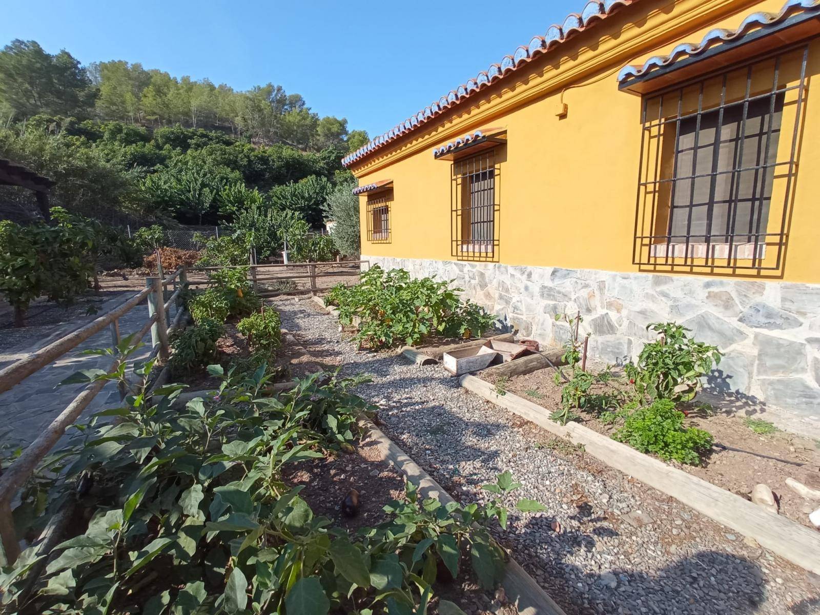 Maravilloso chalet en venta en Torrenueva