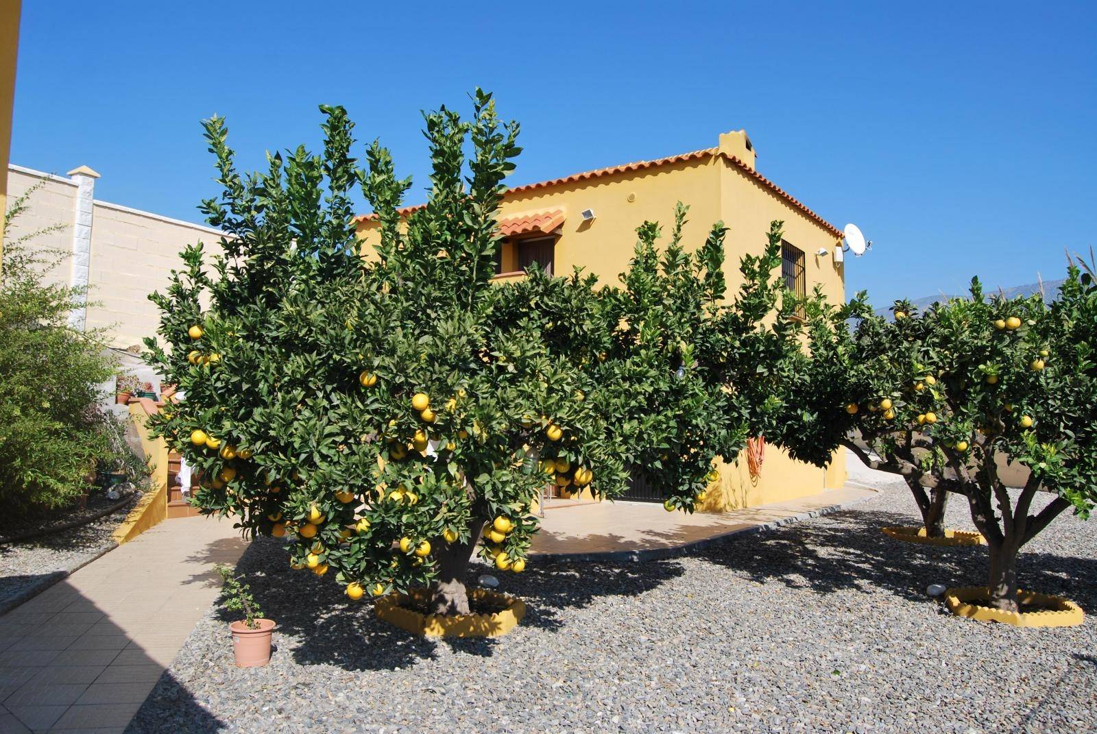 Woning te huur in Motril