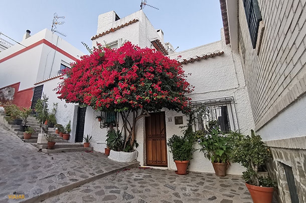 Pension for sale in Salobreña