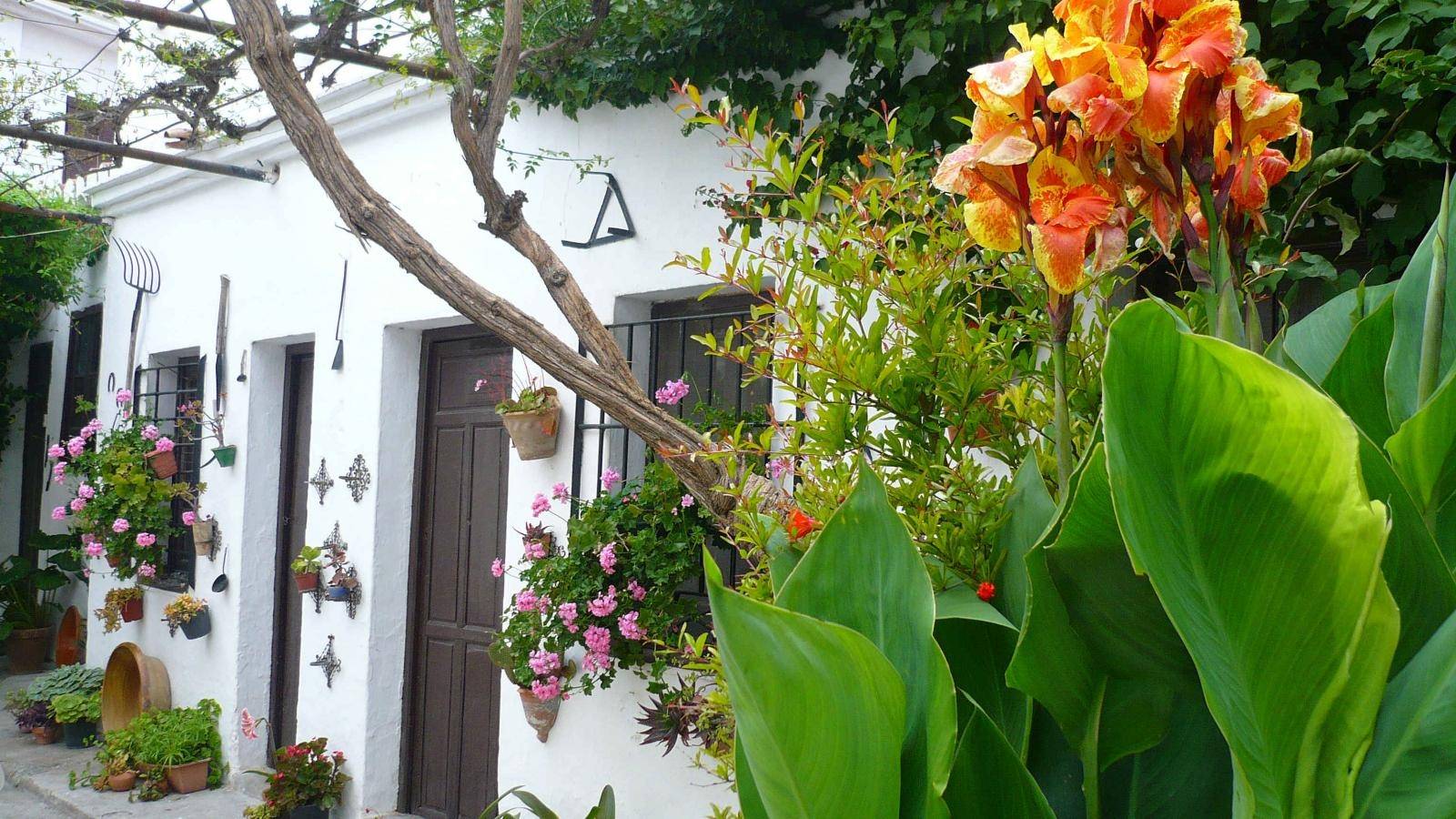 Pension for sale in Salobreña