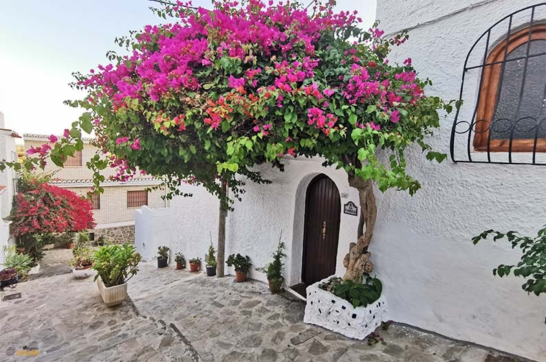 Pension for sale in Salobreña