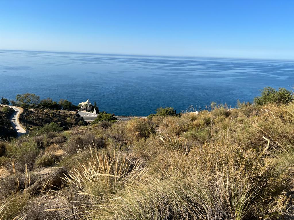 PARCELA EN VENTA EN SALOBREÑA