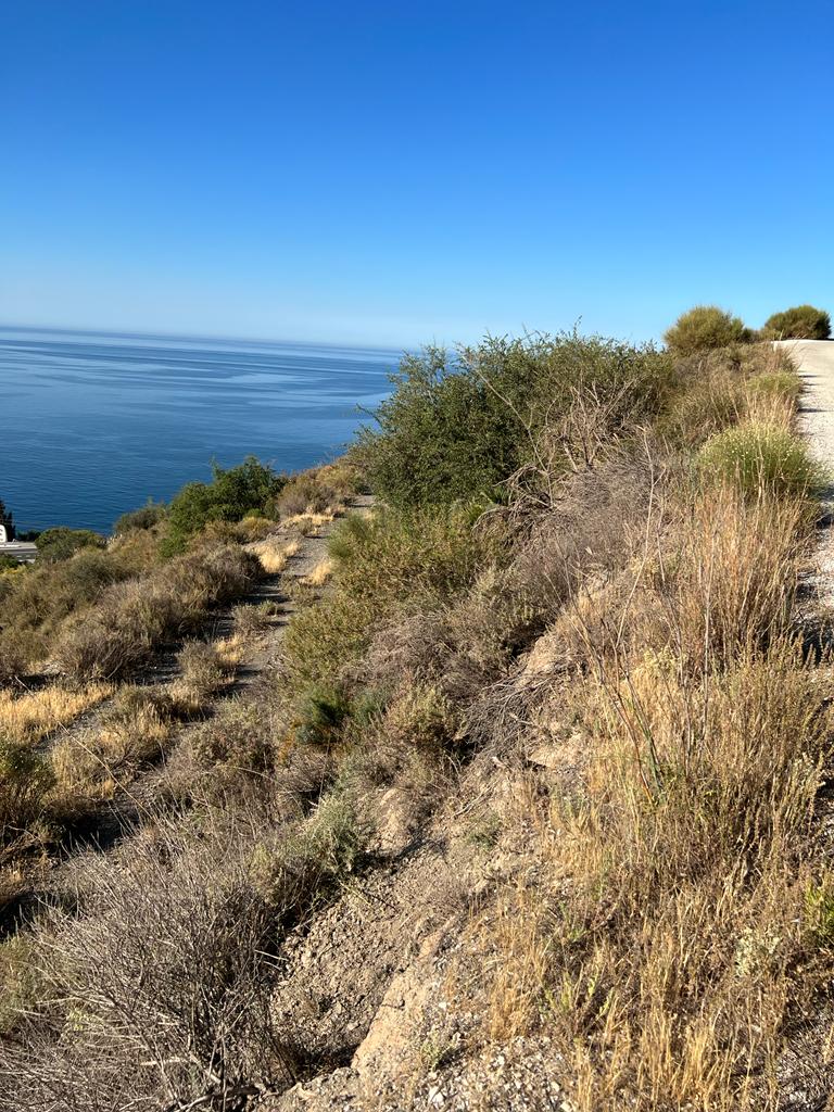 Appezzamento in vendita a Salobreña