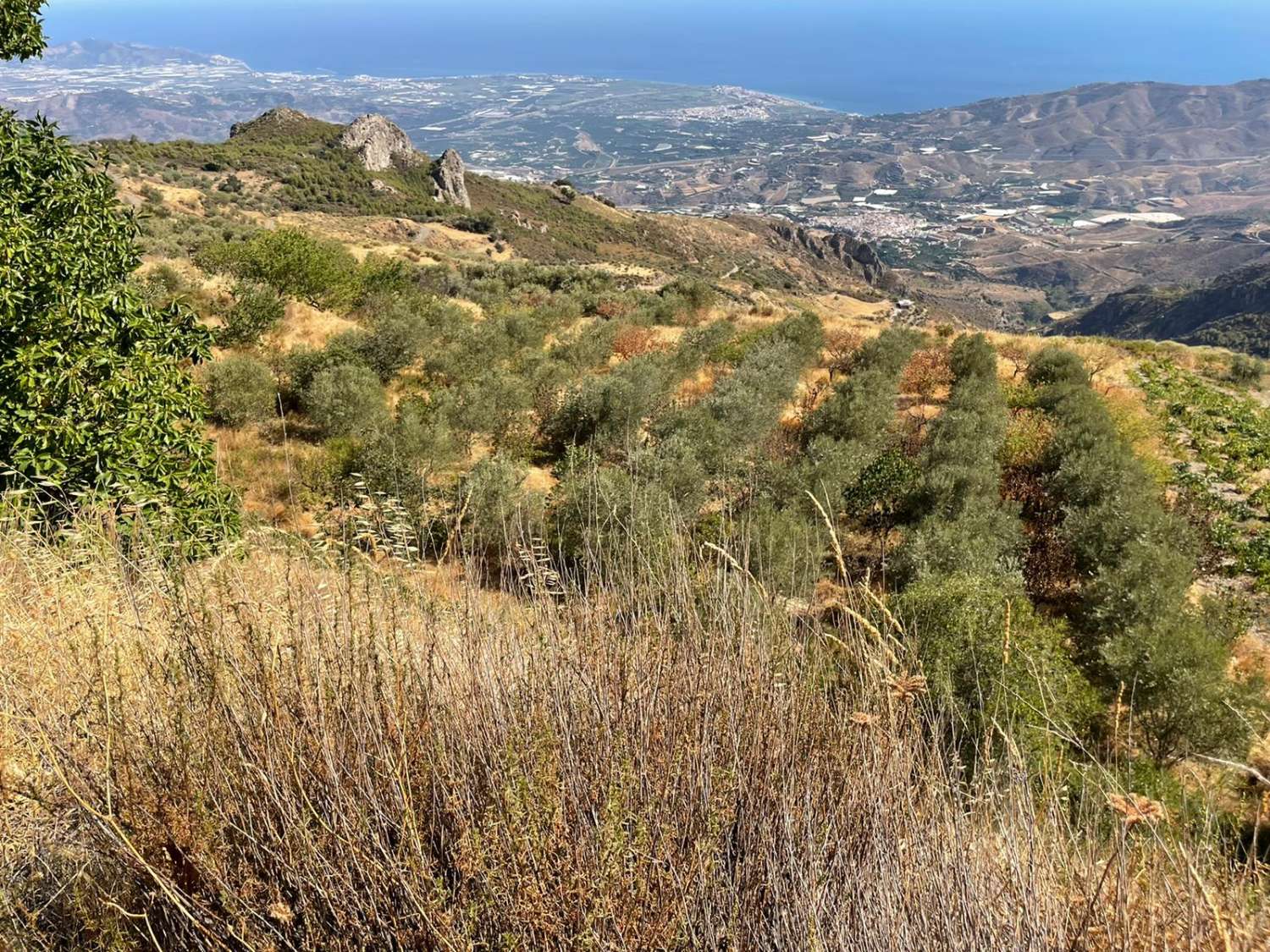 Cortijo con potencial en Molvízar