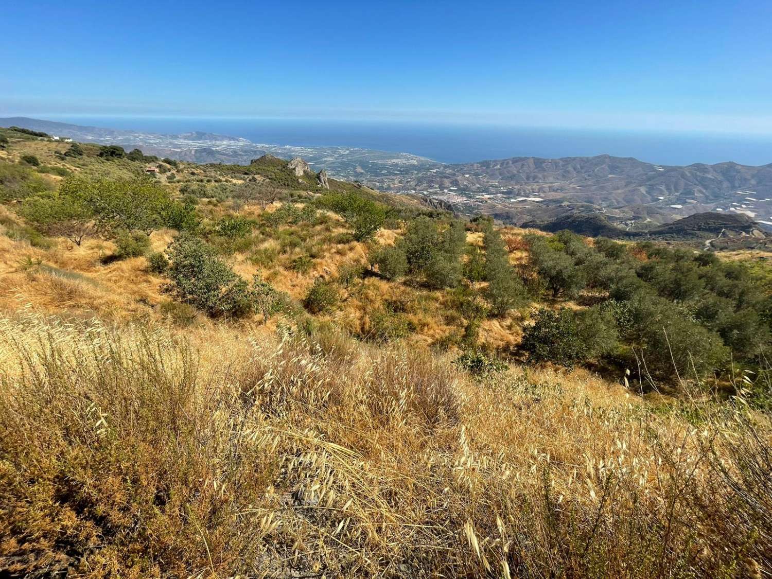 Cortijo con potencial en Molvízar