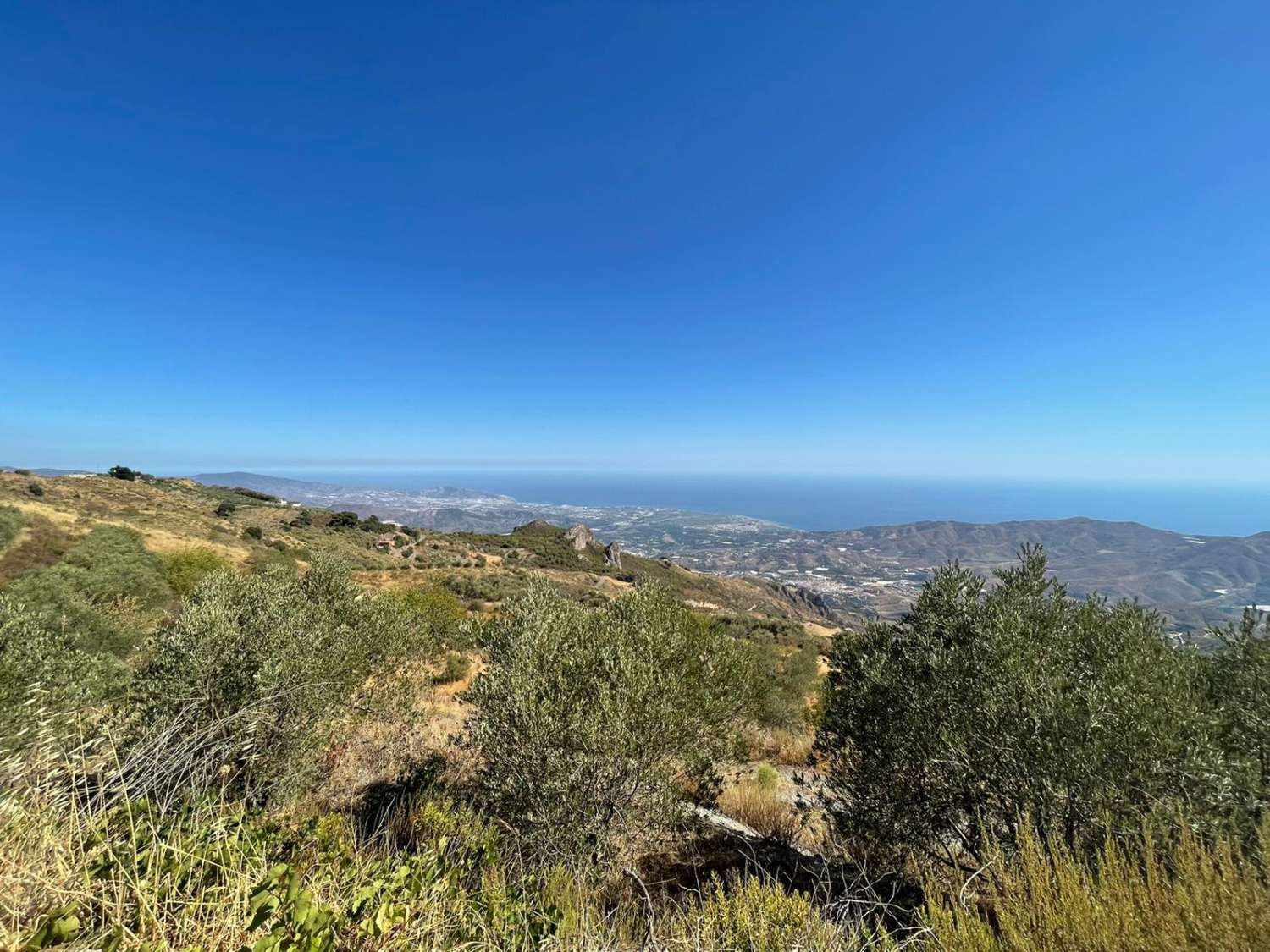 Cortijo con potencial en Molvízar