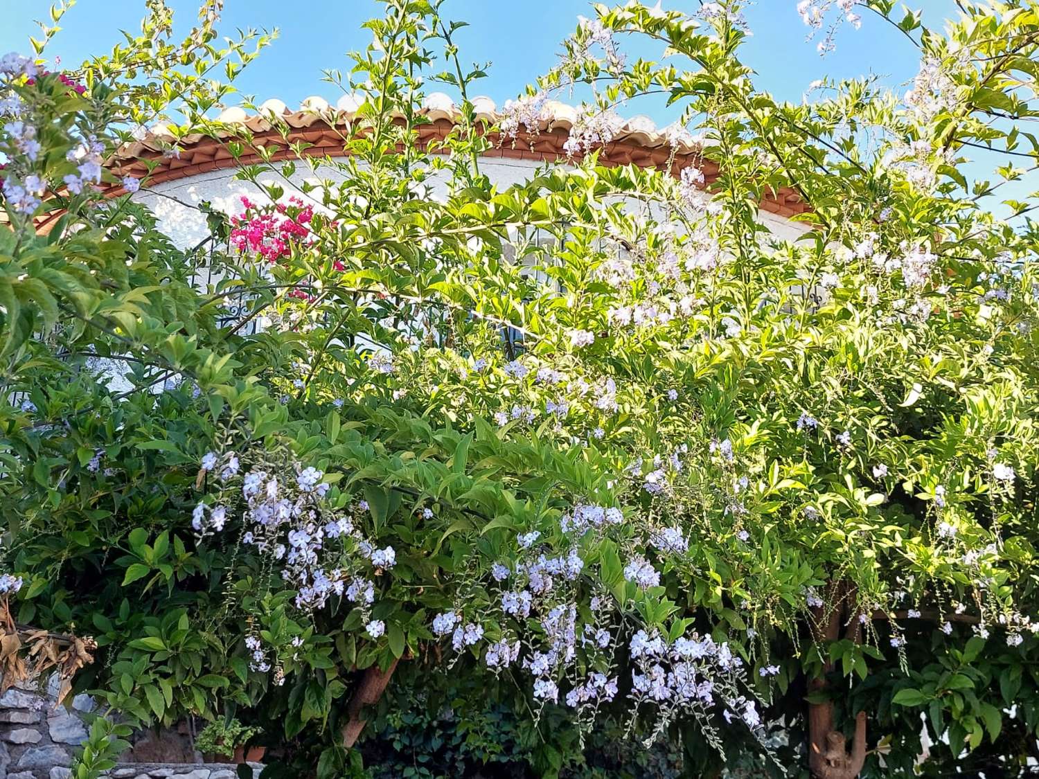 Villa avec vue panoramique à vendre à Urbanisation Alfamar