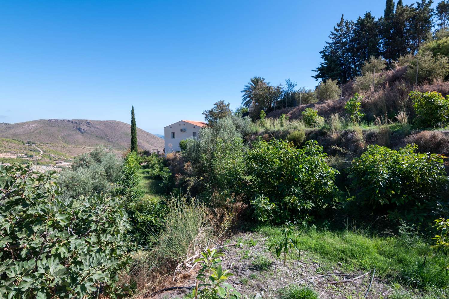 Casa in vendita a Molvízar