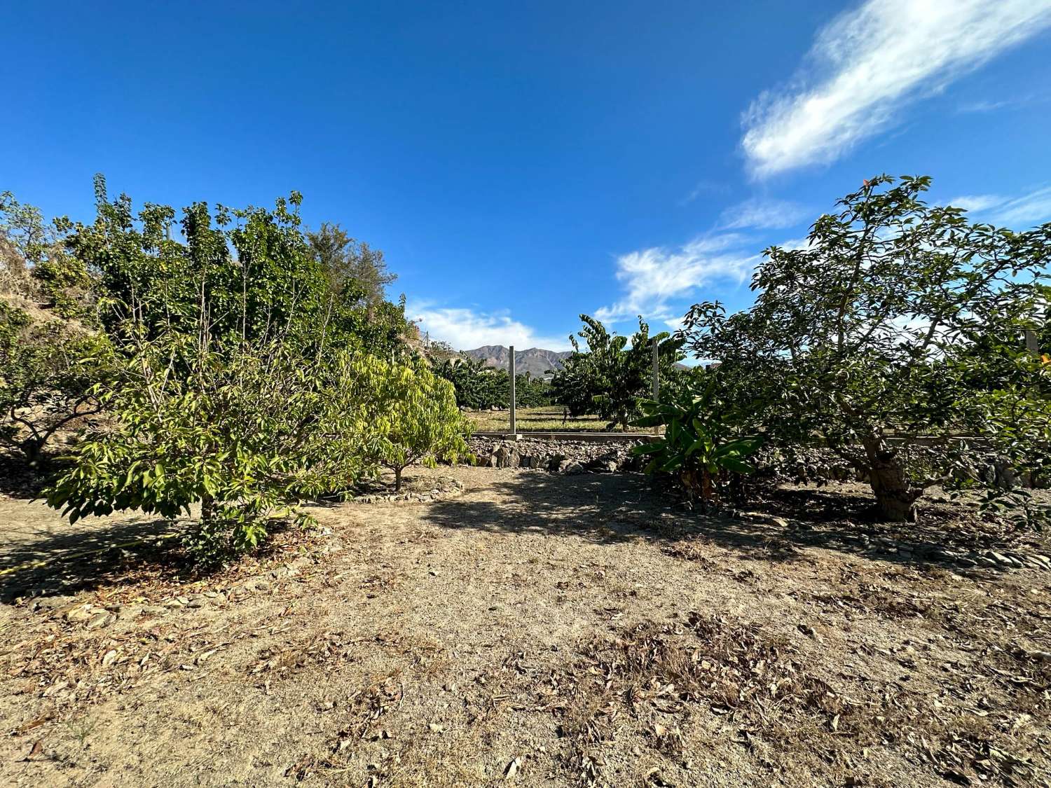 Encantadora casa de campo en venta en Salobreña