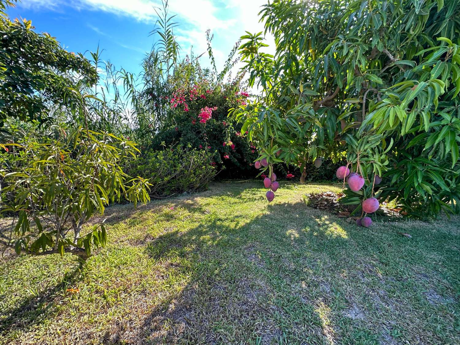 Encantadora casa de campo en venta en Salobreña