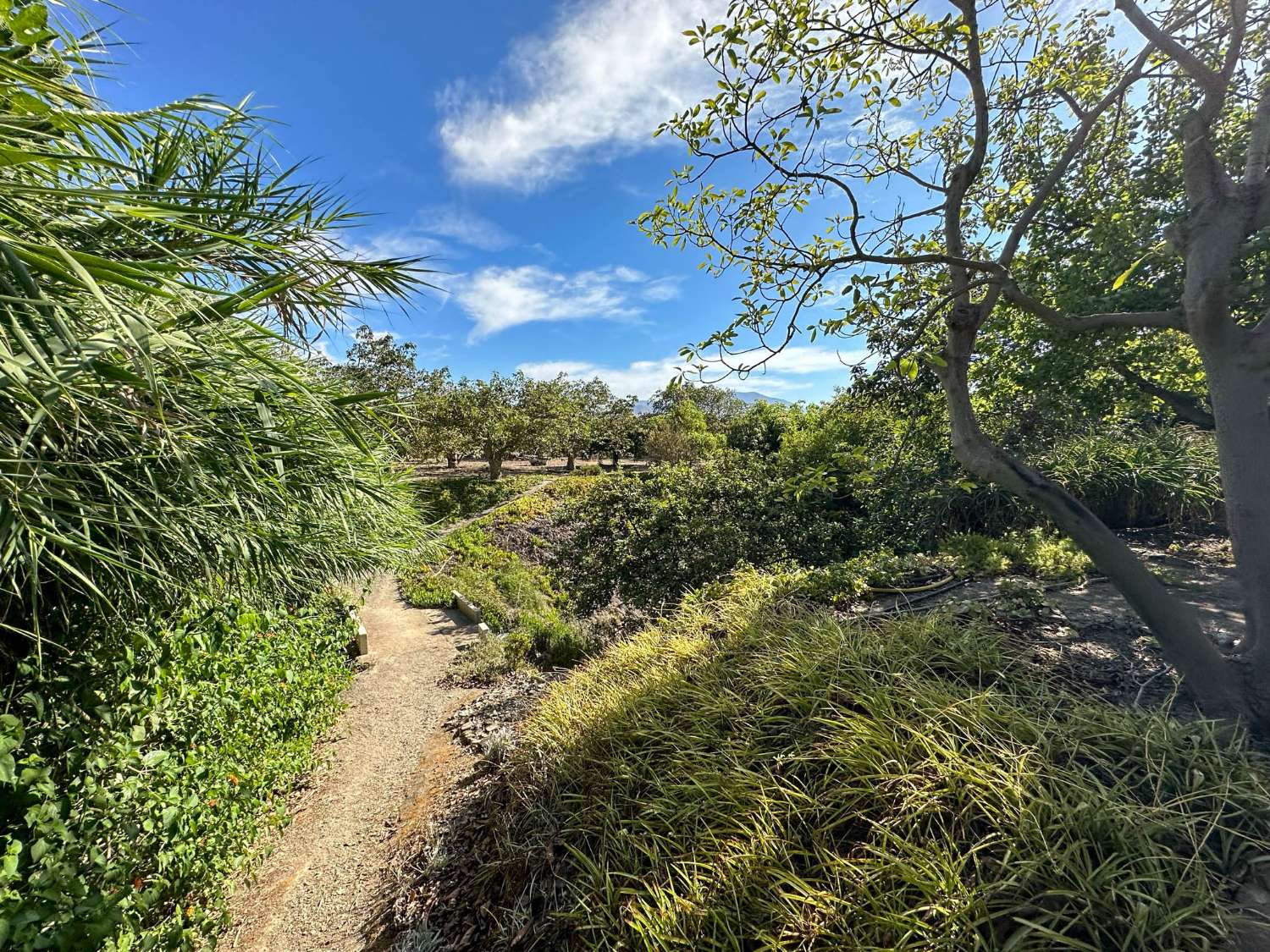 Encantadora casa de campo en venta en Salobreña