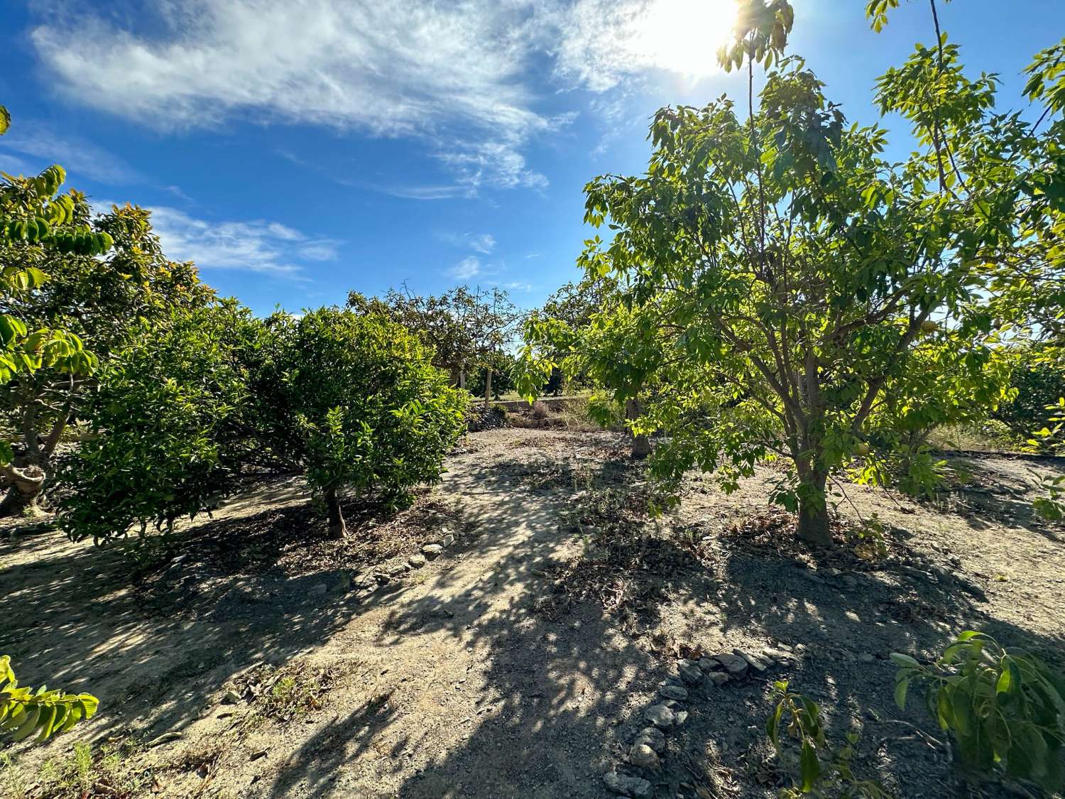 Encantadora casa de campo en venta en Salobreña