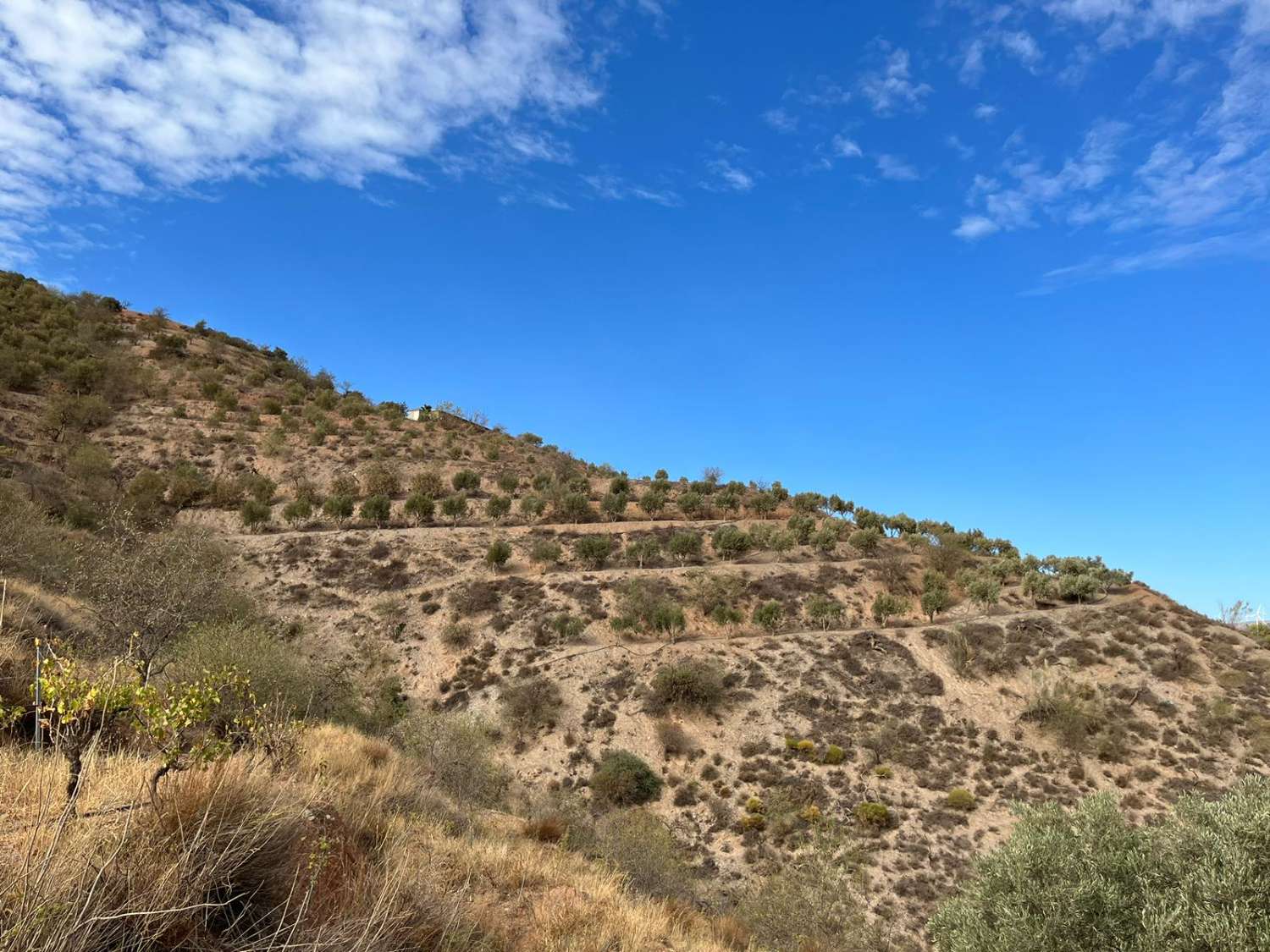 Casa de campo con impresionantes vistas en venta en El Pinar