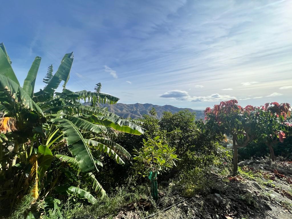 Woning te koop in La Herradura (Almuñécar)