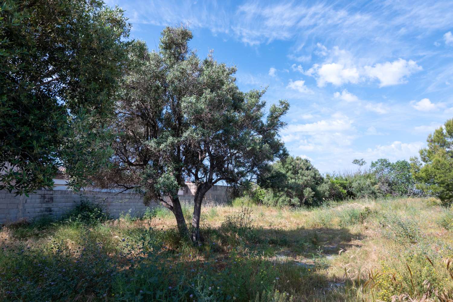 Cortijo con potencial en venta en Motril