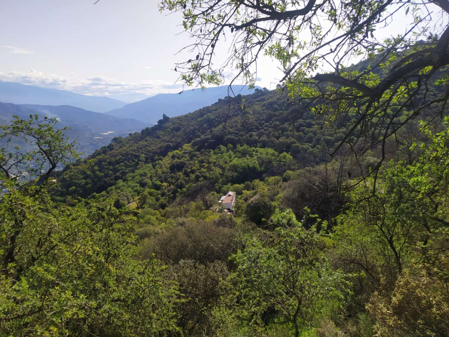 House for sale in the middle of nature, Guájar Fondón