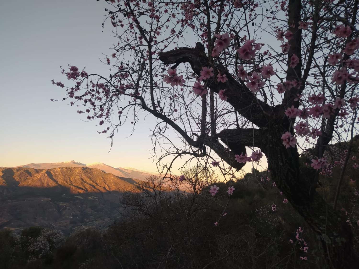 Casa en venta en plena naturaleza, Guájar Fondón