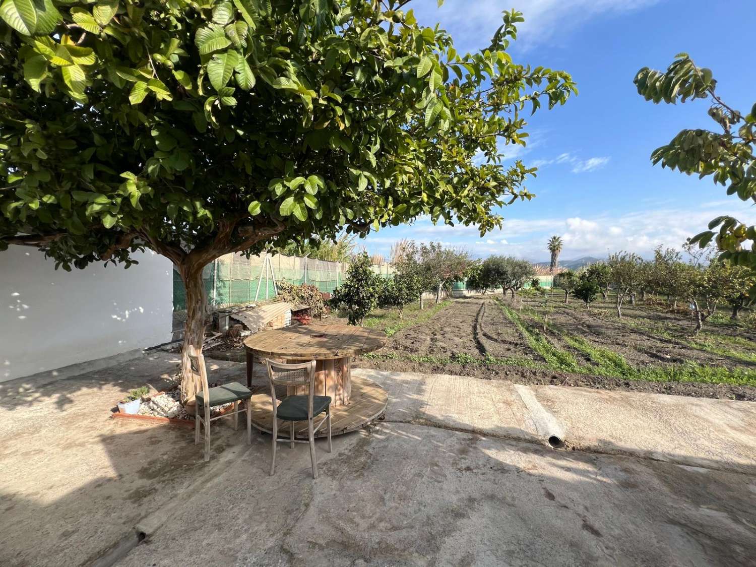 House with swimming pool for long term rental, Salobreña