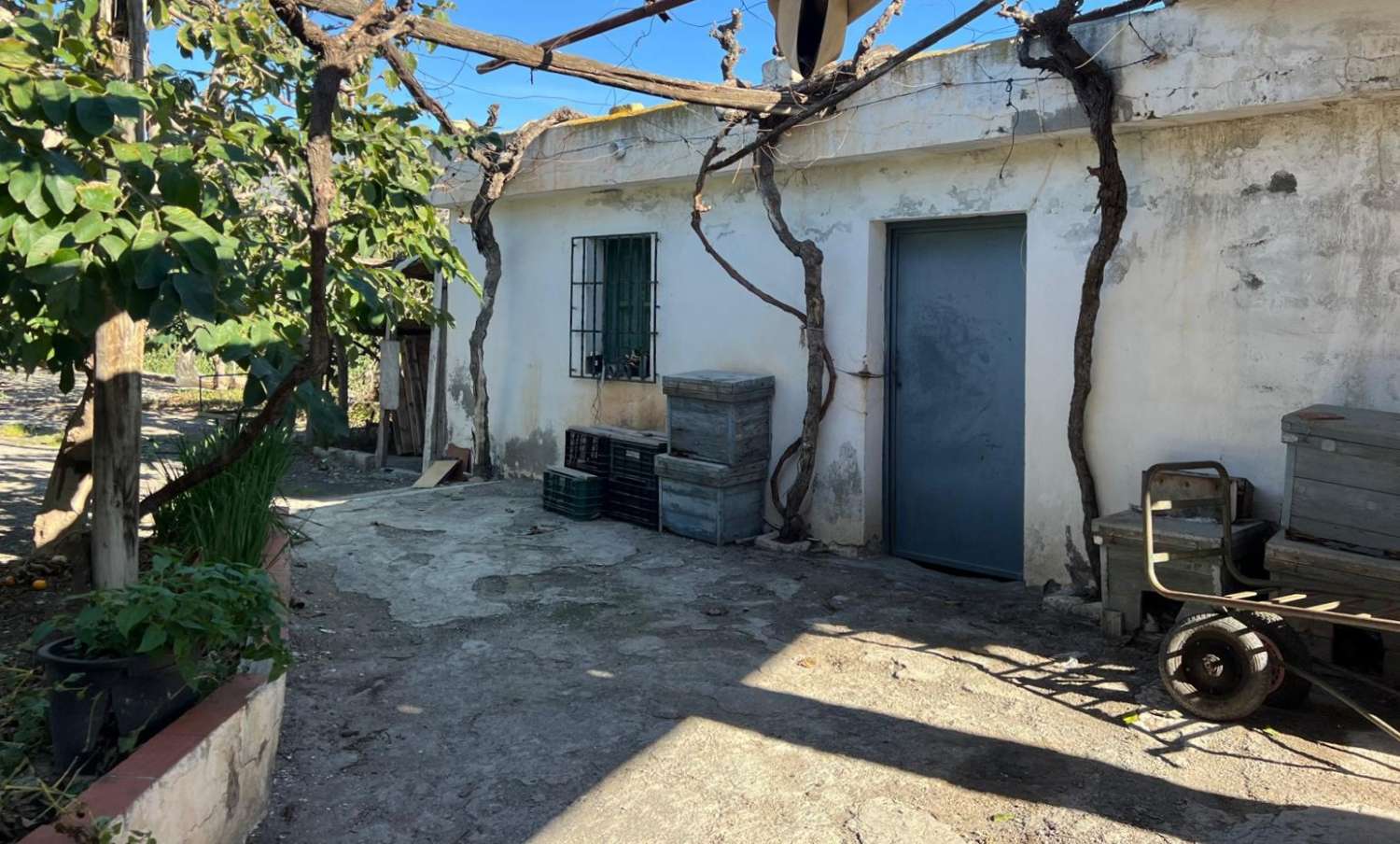 Rustic plot for sale in Las Zorreras, Motril