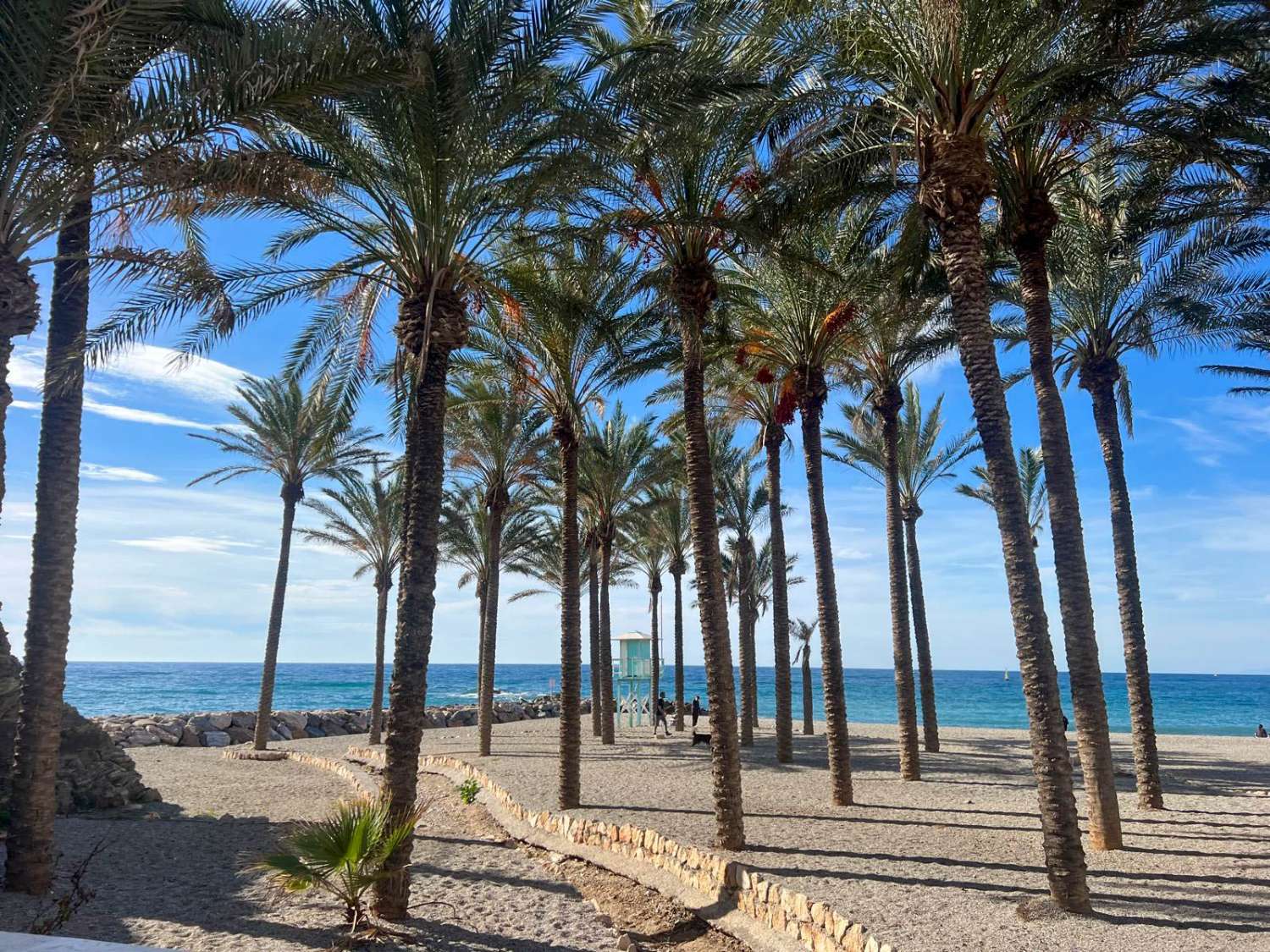 Våning uthyres i Torrenueva (Motril)