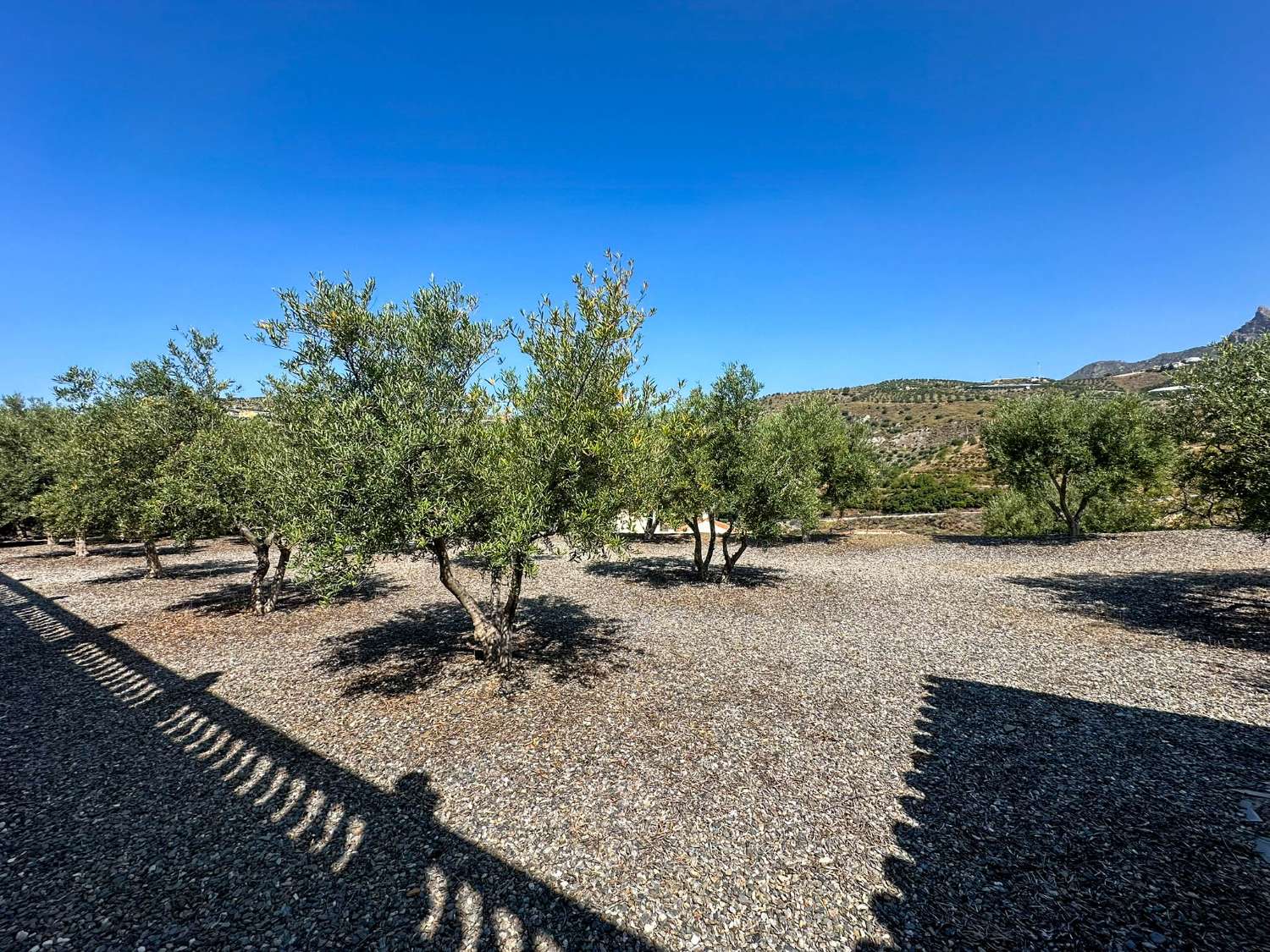 Exclusiva villa en venta en Ítrabo