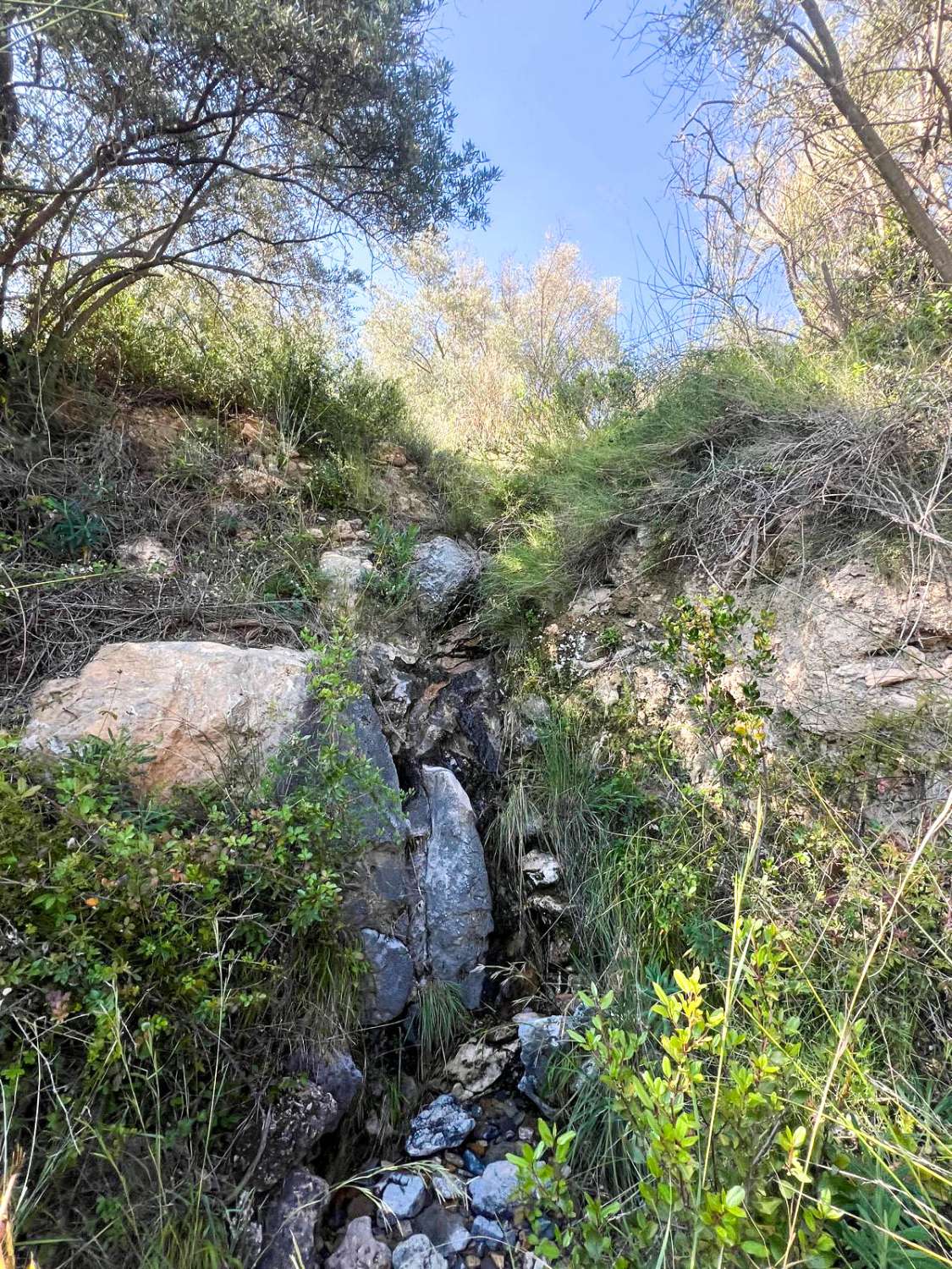 Casa de campo con amplio terreno en Lanjarón