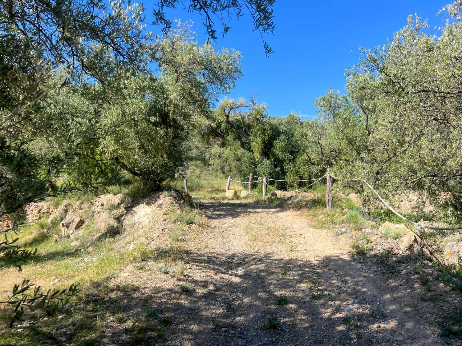 Casa de campo con amplio terreno en Lanjarón