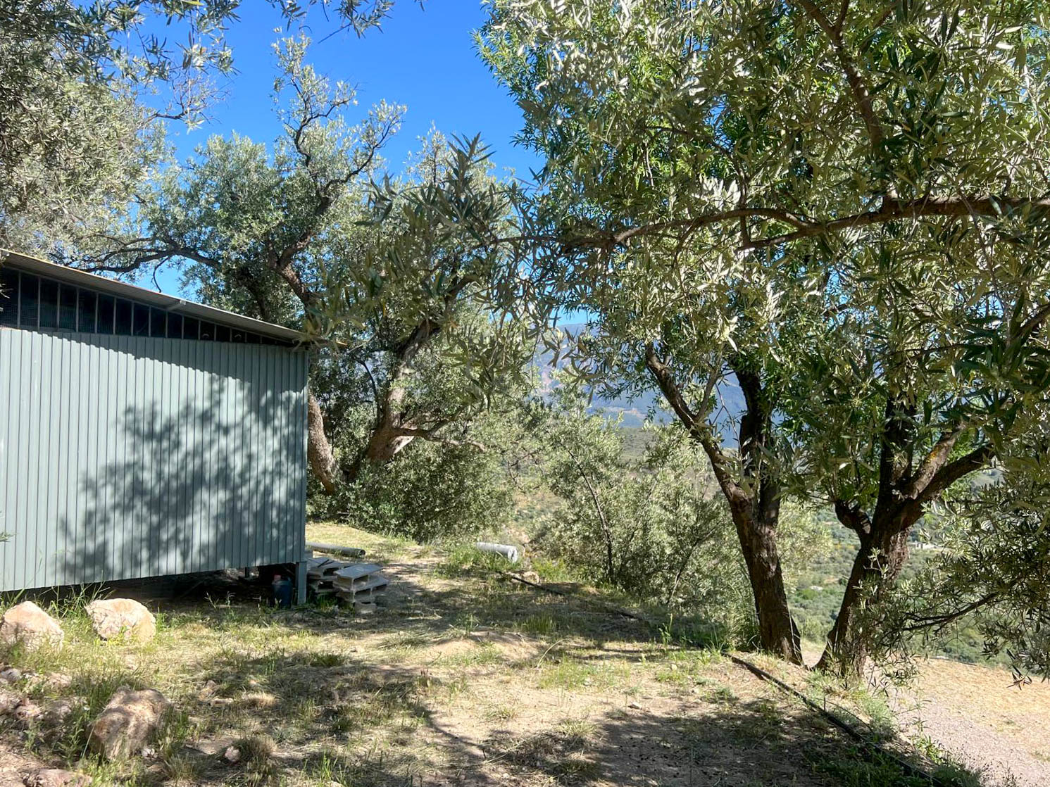 Casa de campo con amplio terreno en Lanjarón