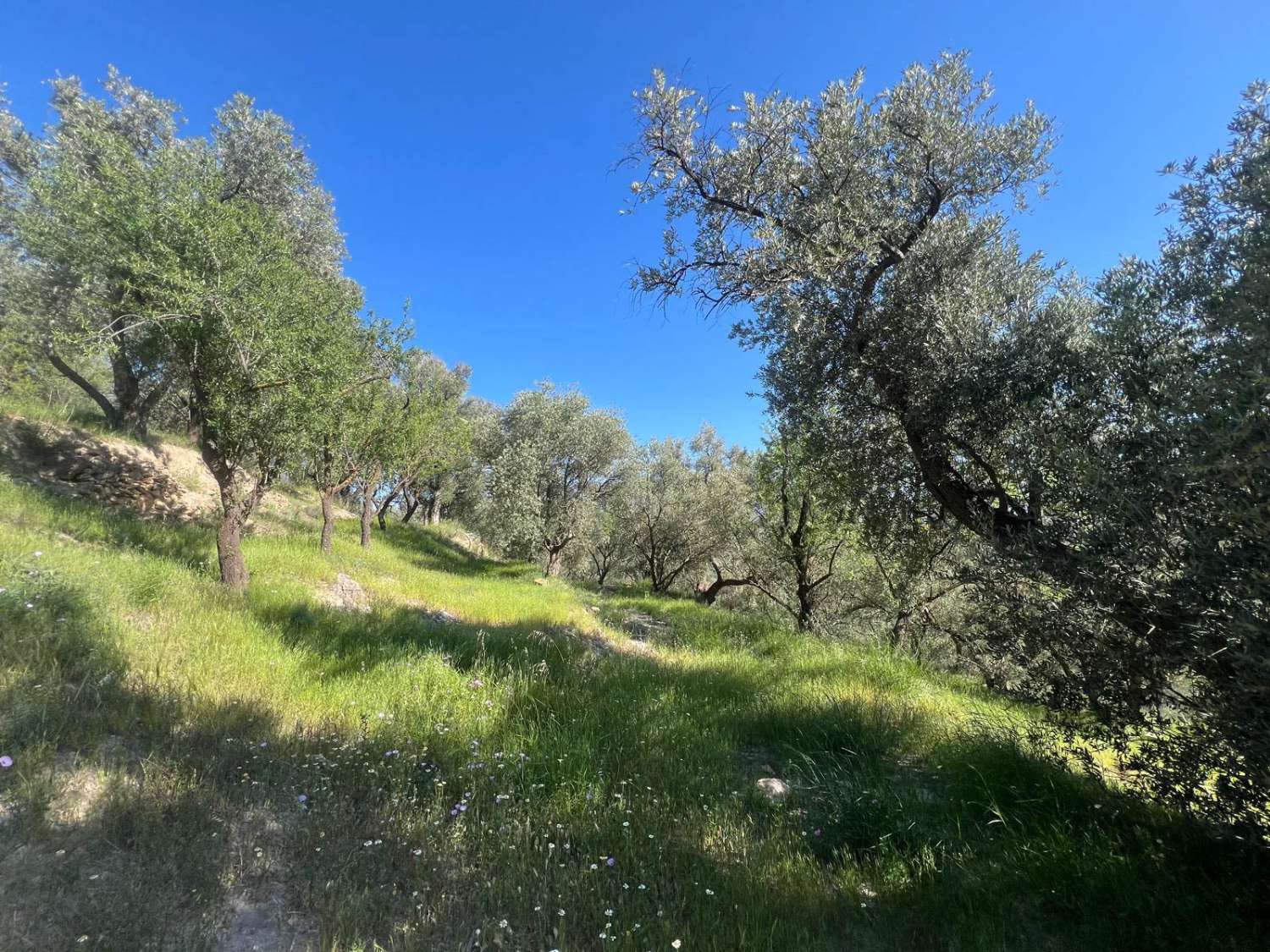 Casa de campo con amplio terreno en Lanjarón