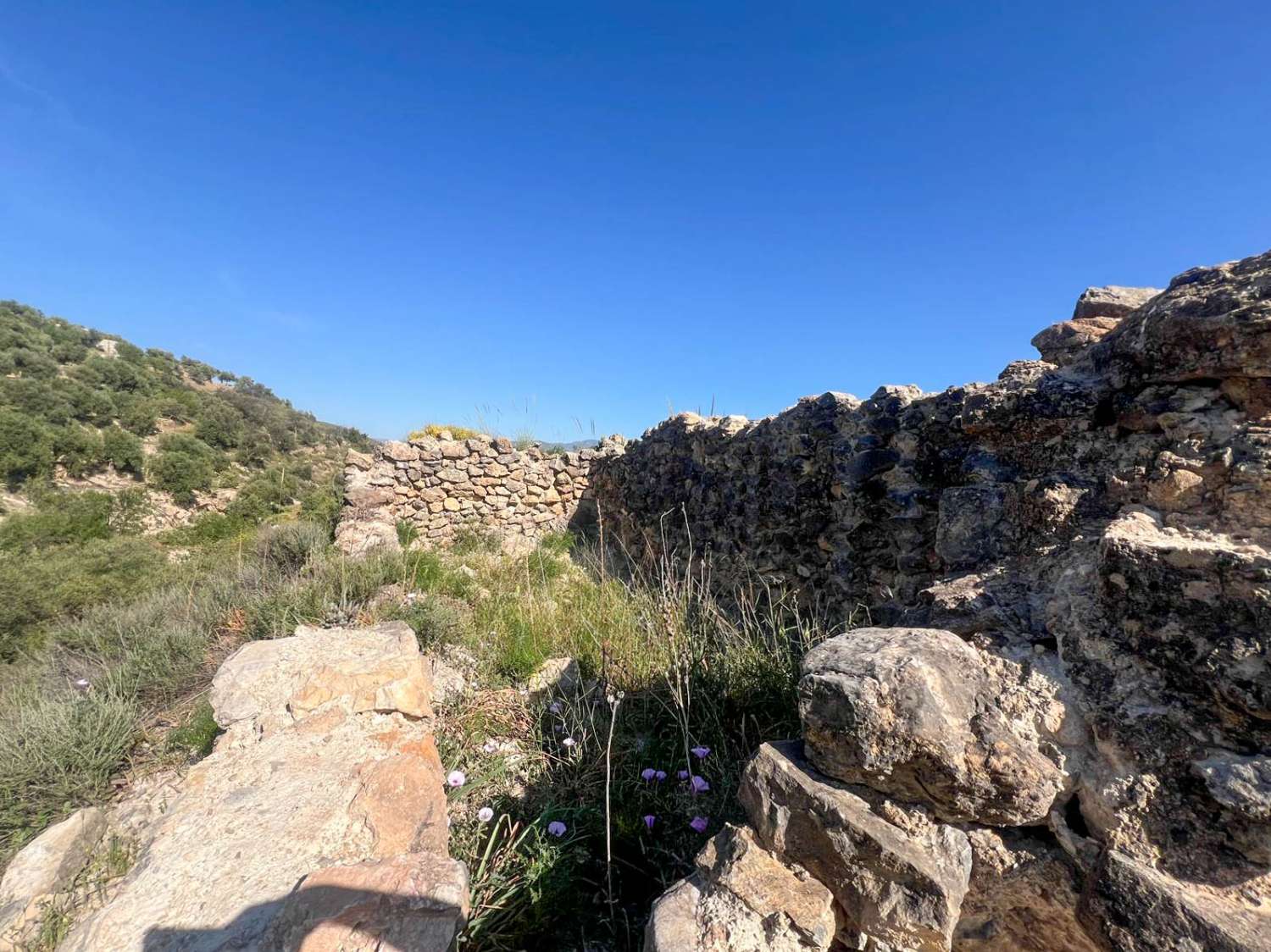 Casa de campo con amplio terreno en Lanjarón